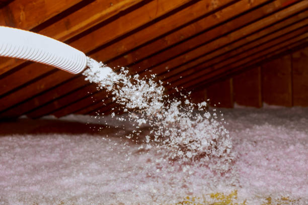 Best Energy Efficiency Solutions in Lake Dunlap, TX