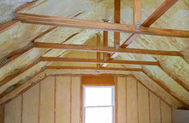 Best Residential Insulation in Lake Dunlap, TX