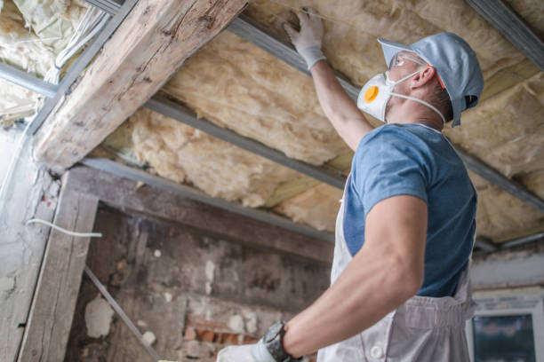 Best Insulation for Specific Applications in Lake Dunlap, TX