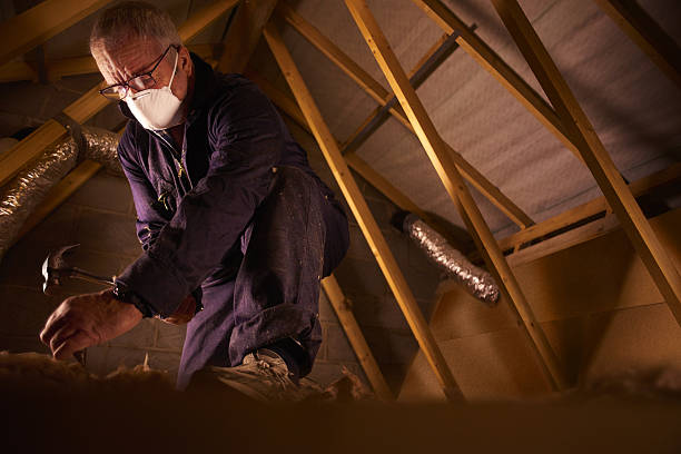  Lake Dunlap, TX Insulation Contractor Pros