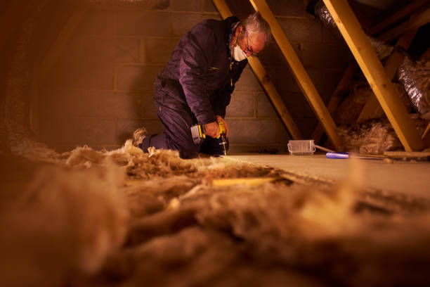 Best Types of Insulation in Lake Dunlap, TX